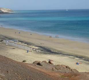 Ausblick vom Fußweg