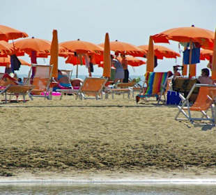 Hunde am Strand von Bibione