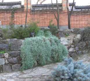 Real Jardín Botánico de Madrid