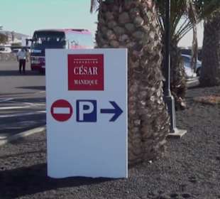 Fundacion Cesar Manrique