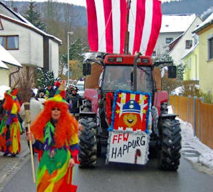 Fachingszug in Happurg 2010