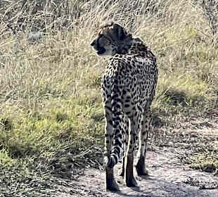 Zorgfontein Game Ranch