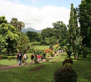 Botanischer Garten Kandy