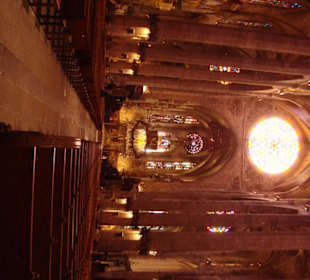 Innenansicht Kathedrale La Seu