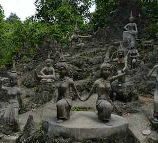 Magic Garden