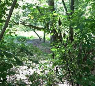 Tierpark Hellabrunn - Afrika