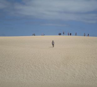Hoch auf die Dünen