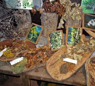 Kräutersammlung im Museo Etnografico