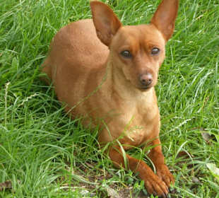 Lengsteiner Rundwanderweg