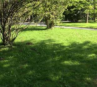 Botanischer Garten München