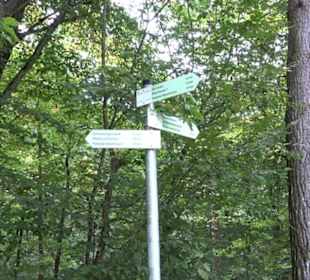 Altwege Rundwanderung Bebenhausen