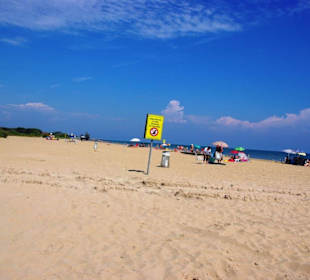 Freier kostenloser Hundebereich