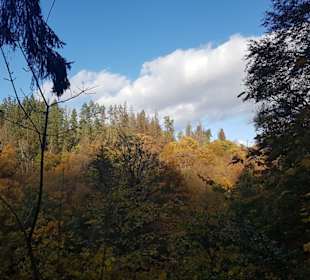 Ausblick