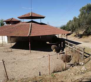 Jeep Safari - Stop auf Bauernhof Taurus Gebirge