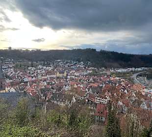 Ausblick Burg Wertheim