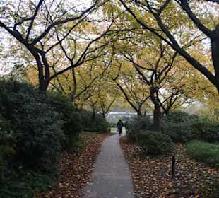 Parkanlage Planten un Blomen