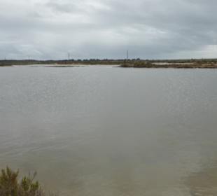 Parque Natural da Ria Formosa bei den Salinen