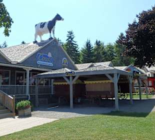 Blick auf das Eiscafé Cow's