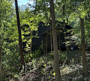 Warren Dunes State Park