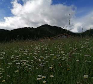Wandern Obertilliach