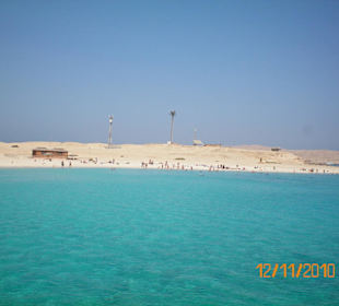 Traum-Insel im Roten Meer