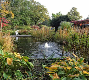 Rundgang durch das herbstliche "Planten un Blomen"