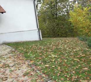 Burg-/Marienkapelle Zwiefaltendorf