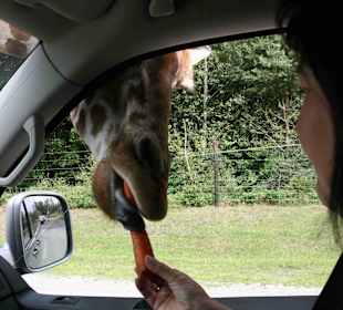 Serengeti Park Hodenhagen