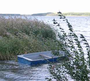 Der Fleesensee im Herbst