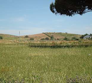 Golf von Baratti / Baratti-Strand