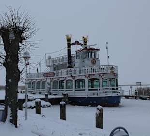 Hafen in Zingst