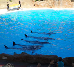 Loro Parque 