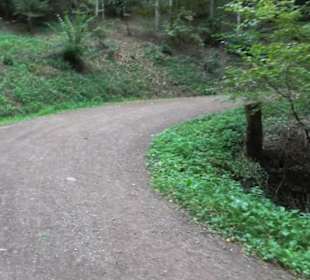 Kastelburg