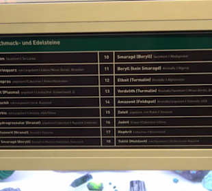 Museum für Naturkunde