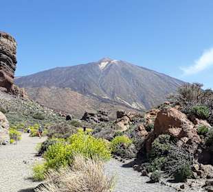 Teide Nationalpark