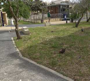 St. Paul's Catacombs