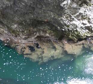 Kdo to kouká pod vodou?