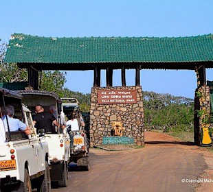 Minneriya , kawudulla safari park