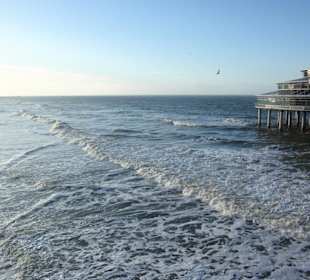 Схевенинген