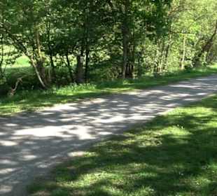 Kurpark Bad Niedernau