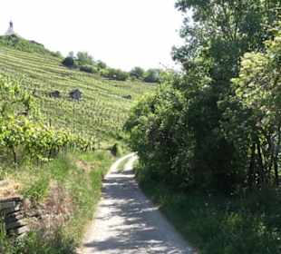 Früchtetrauf - Wurmlinger Kapellenwegle