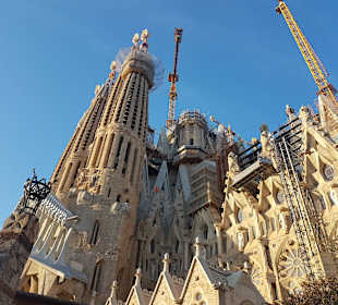 Katedra Sagrada Familia
