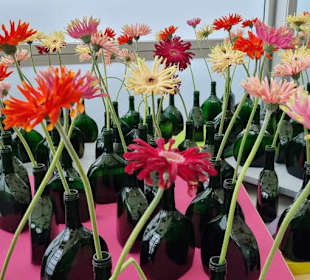 Über den Blüten hinweg