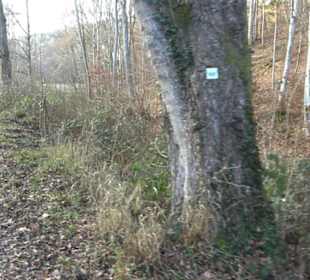 Schönbuch Schaichtal