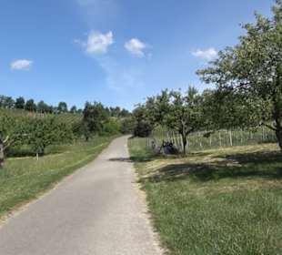 Früchtetrauf - Wurmlinger Kapellenwegle