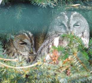 WP LH Herbst Impression