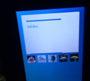 Niedersächsisches Landesmuseum