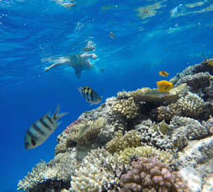 Blue Hole Aqua Center Hotel Menaville