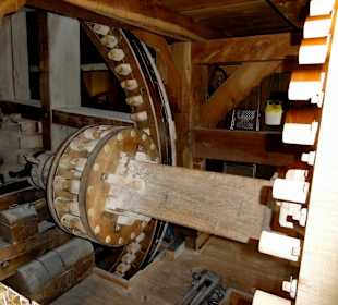 Blick auf Zahnräder des Getriebes