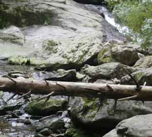 Wanderung zu wilden Bächen und hohen Wasserfällen